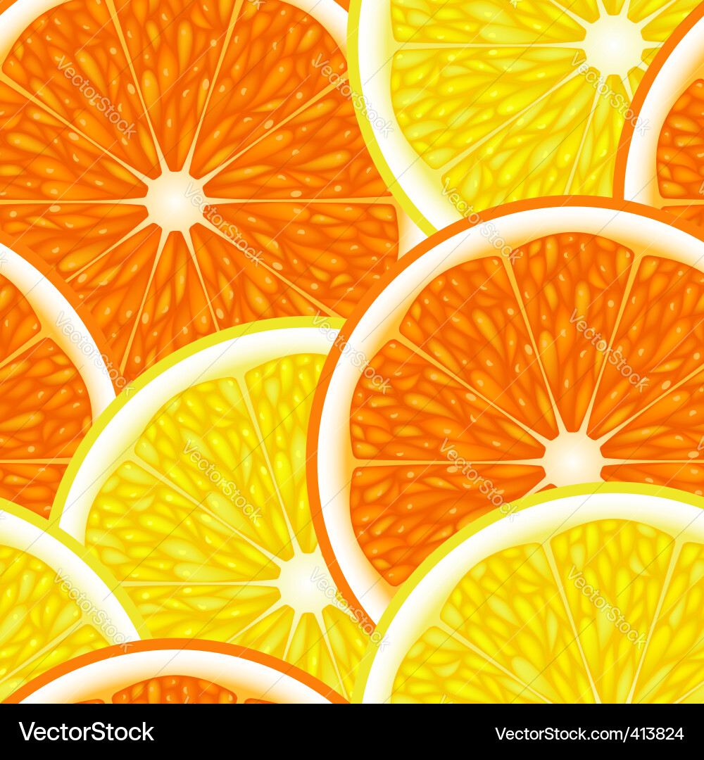 Citrus Pattern vector image