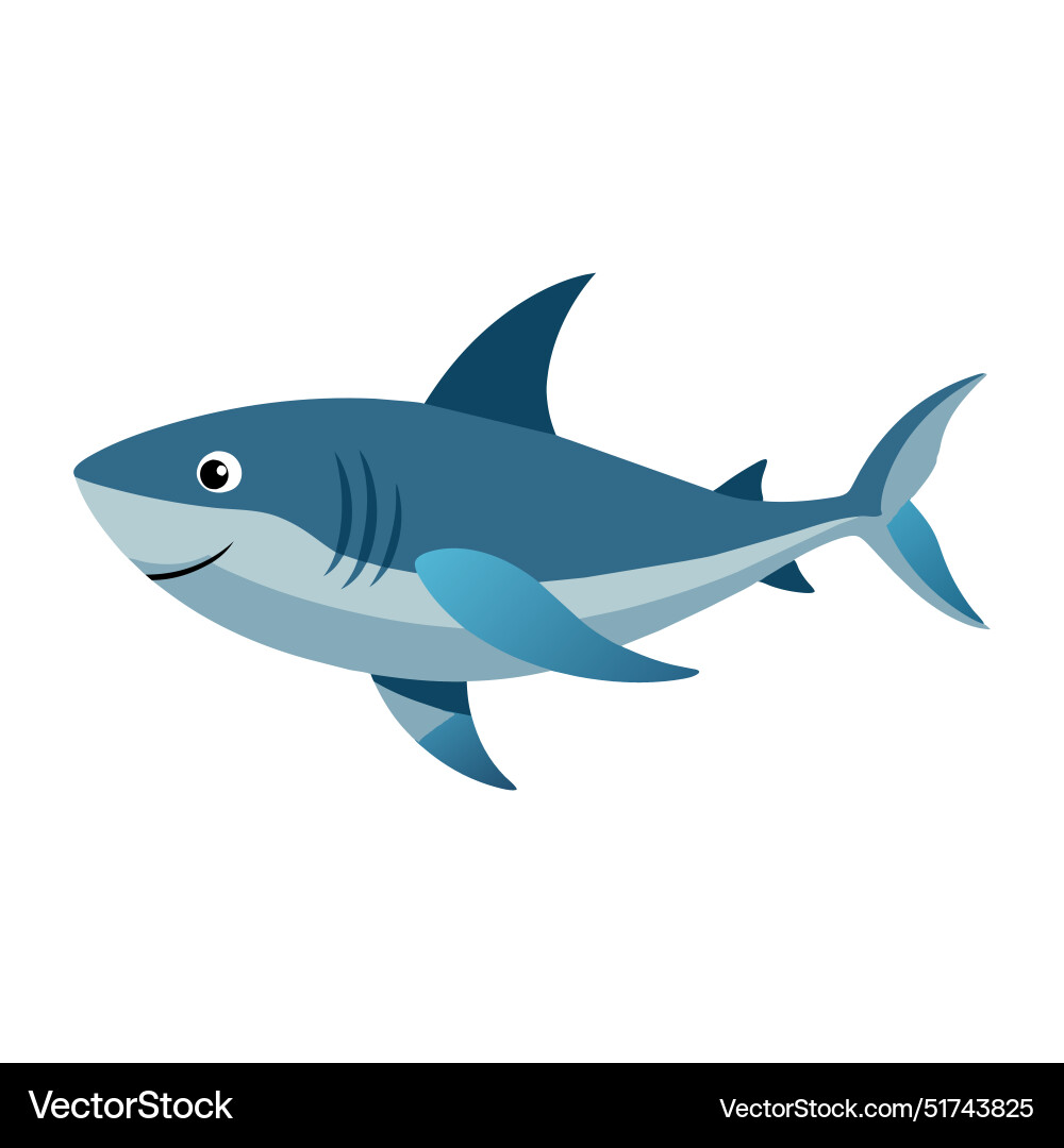 Bull shark animal flat on white background Vector Image