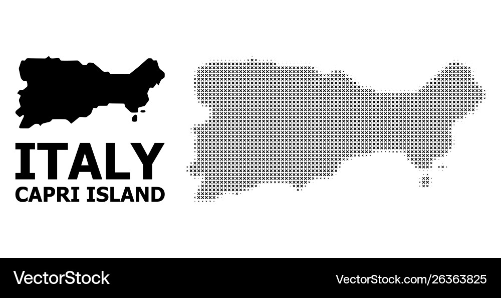 Halftone pattern and solid map capri Vector Image