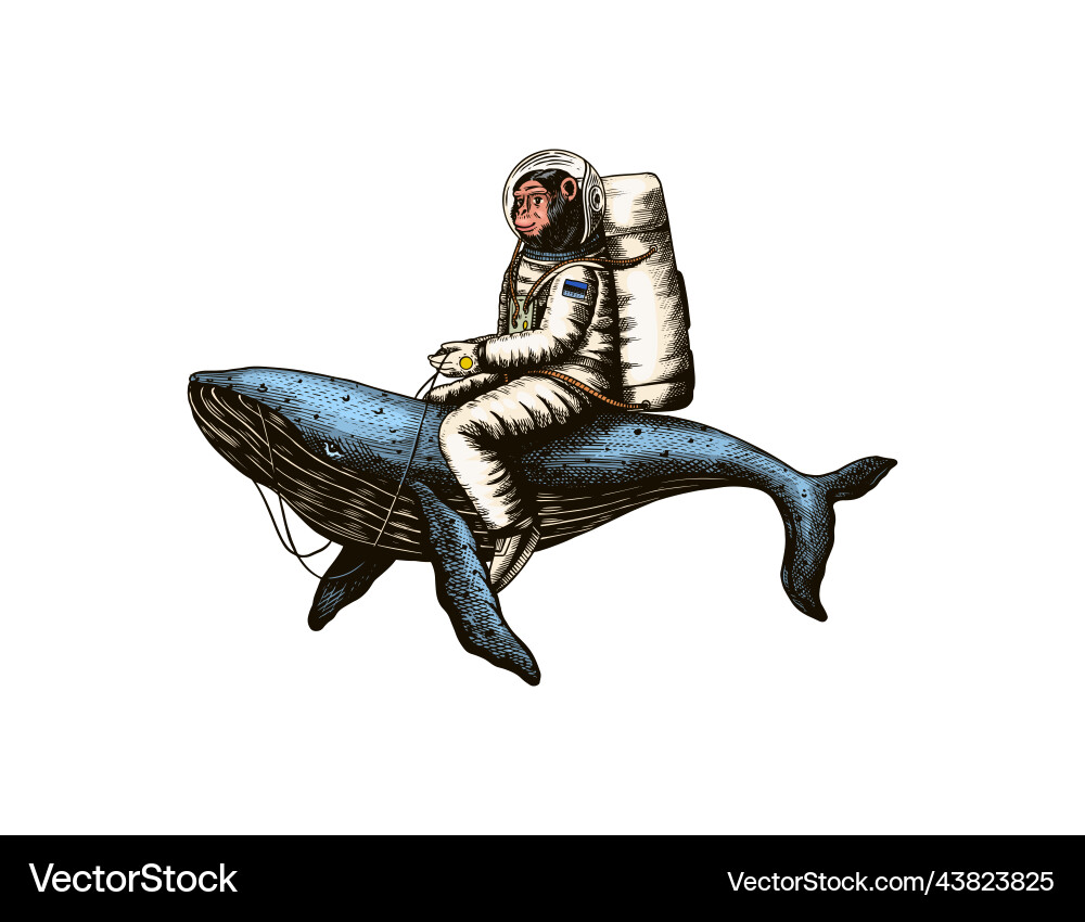 Monkey astronaut with blue whale funny chimpanzee Monkey astronaut with blue whale funny chimpanzee vector image