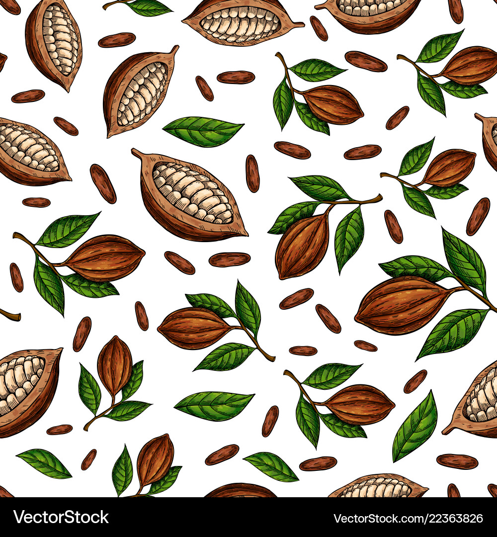 Cocoa Bean Pattern - Dark Chocolate Vector Image
