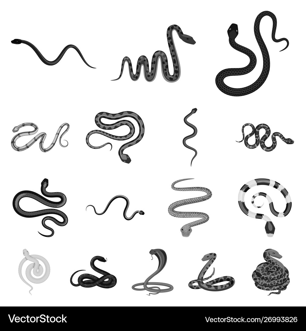 Isolated object harm and bite sign set Isolated object harm and bite sign set vector image