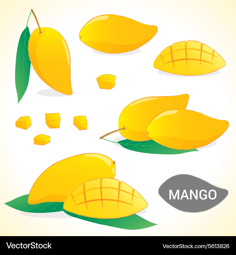 Set of mango in various styles and format vector image