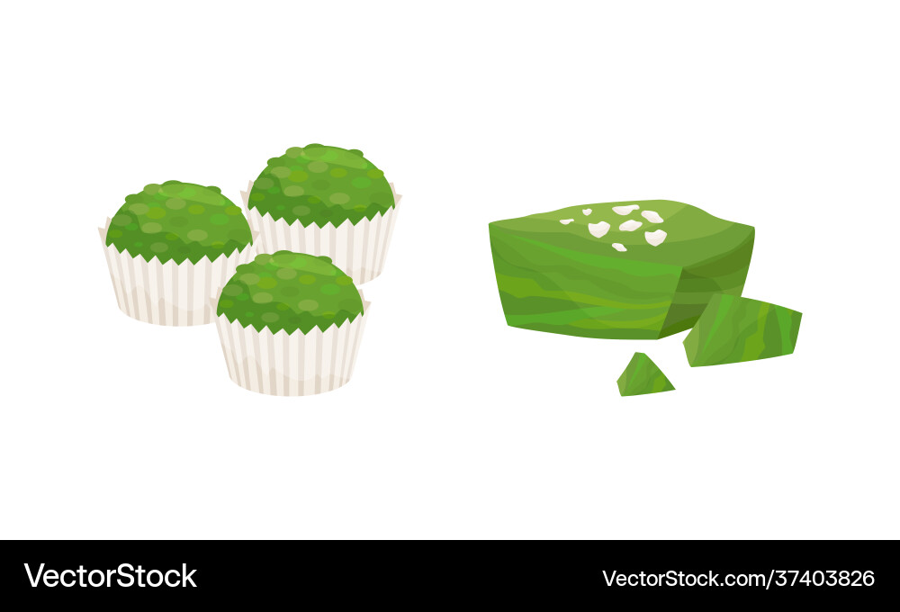 Spirulina as dietary supplement and natural food Spirulina as dietary supplement and natural food vector image