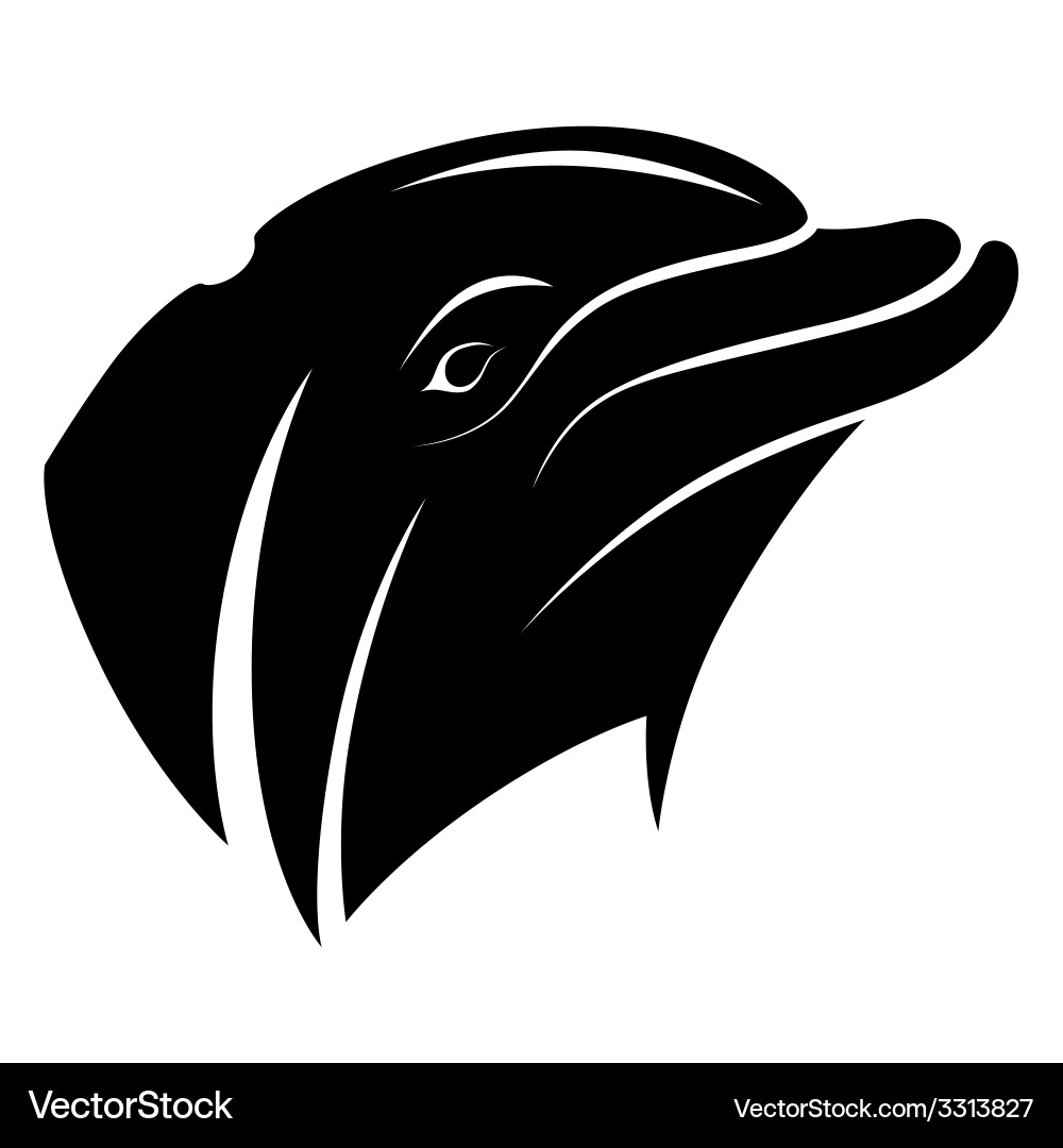Dolphin Head Emblem Vector Image
