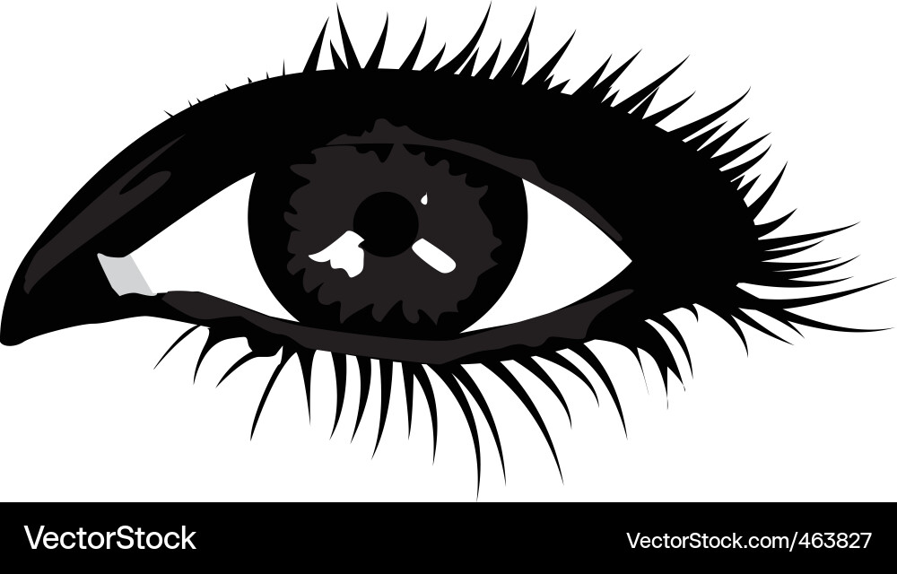 Dramatic Smoky Eye Makeup Vector Image