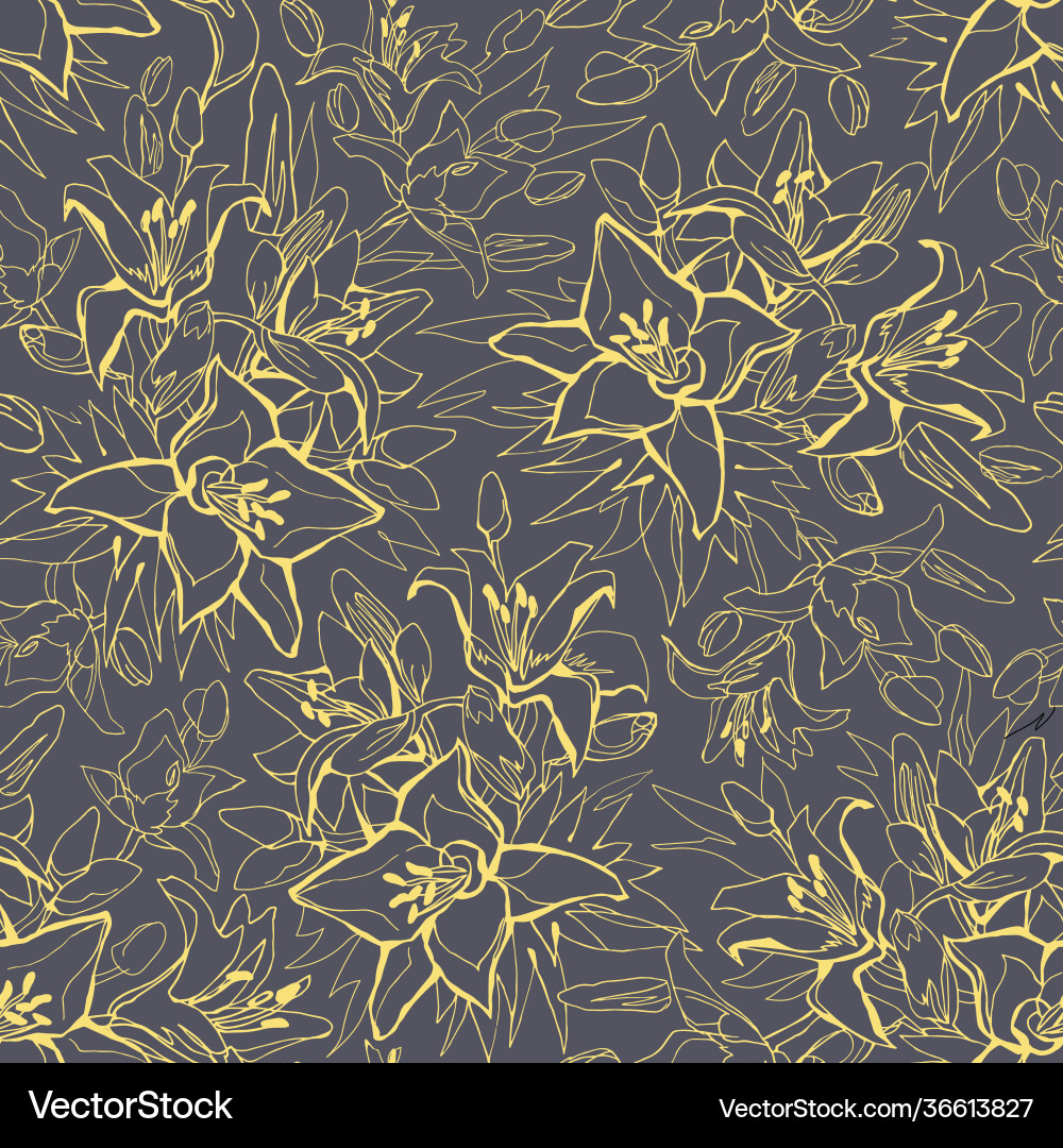 Outline yellow illuminating lily flower drawn Outline yellow illuminating lily flower drawn vector image