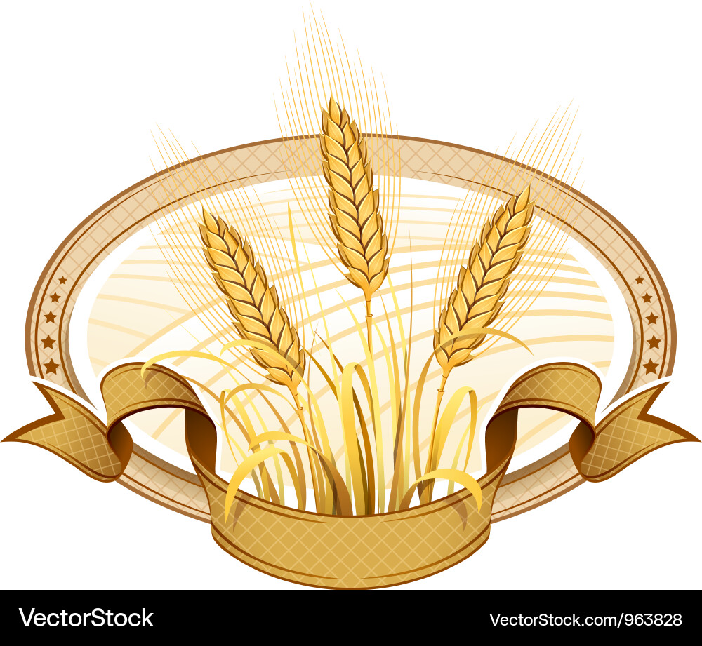 Wheat ears Royalty Free Vector Image - VectorStock