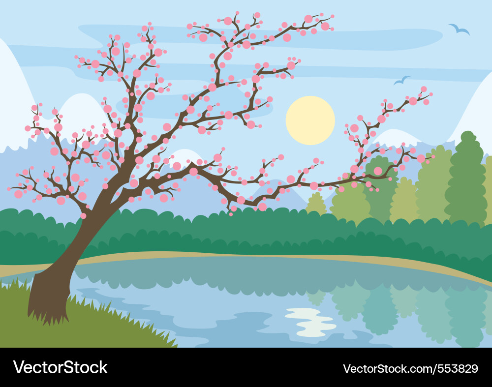 Sakura Lake Landscape Vector Image