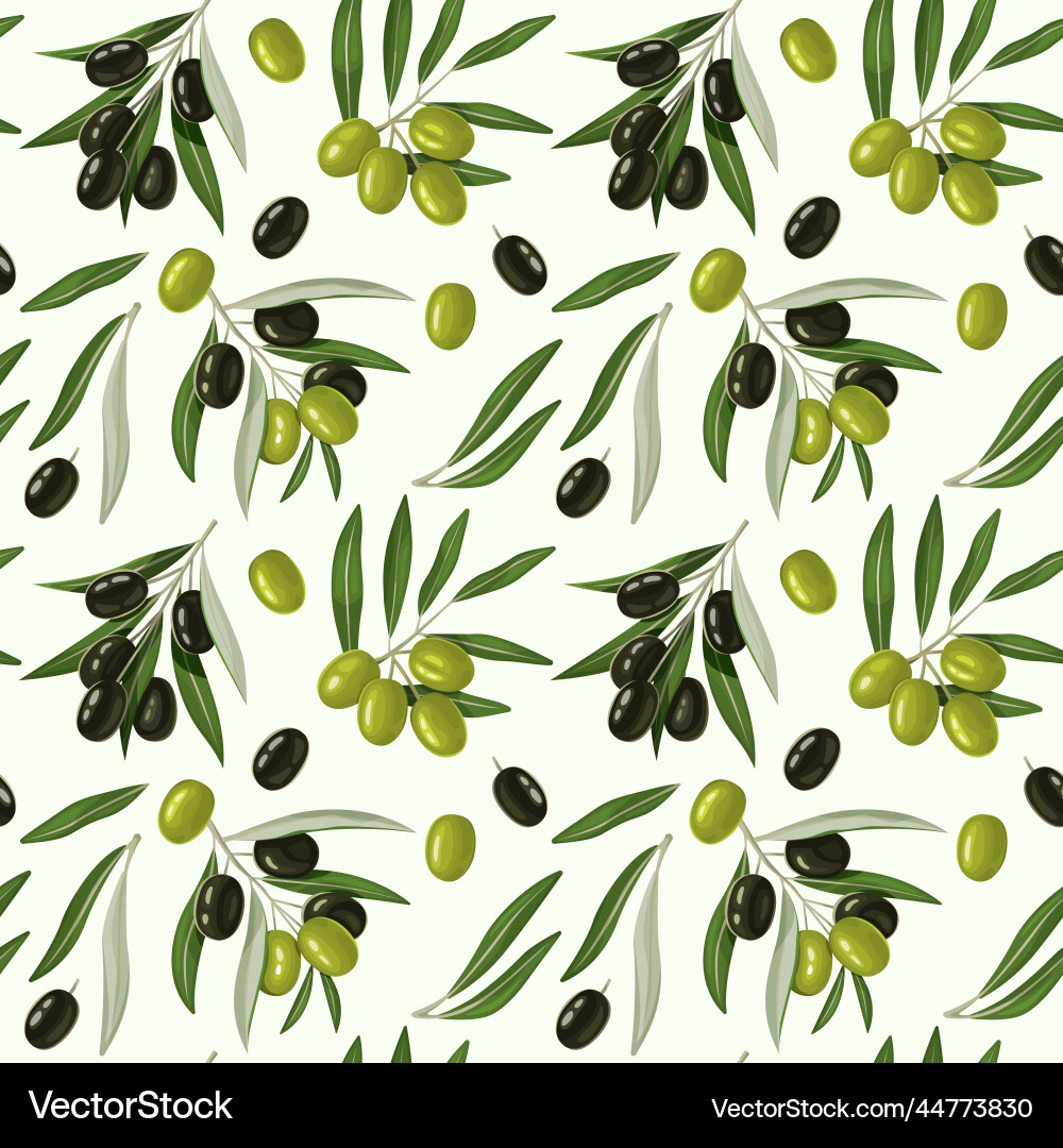 Olive Branch Pattern - Botanical Texture vector image