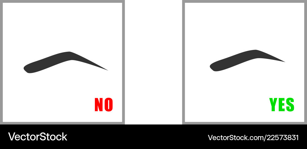 Correct and incorrect eyebrow design in square Correct and incorrect eyebrow design in square Vector Image