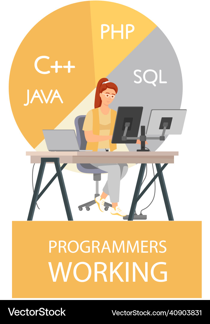 Programmer engineering and coding Programmer engineering and coding vector image
