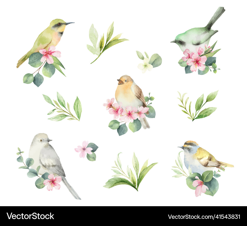 Watercolor set of birds with flowers Watercolor set of birds with flowers vector image