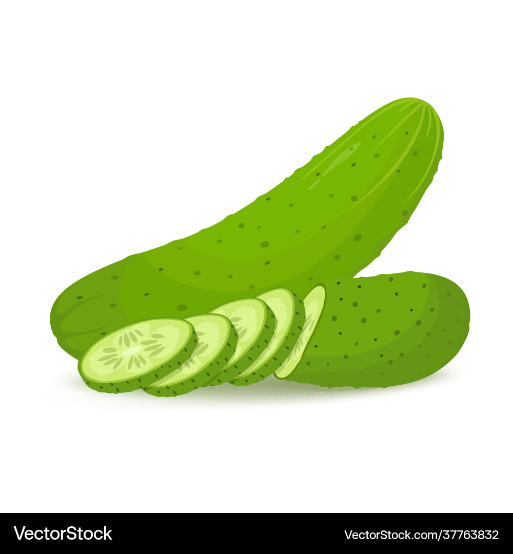 Cucumbers in flat style whole cucumber and slices Cucumbers in flat style whole cucumber and slices vector image
