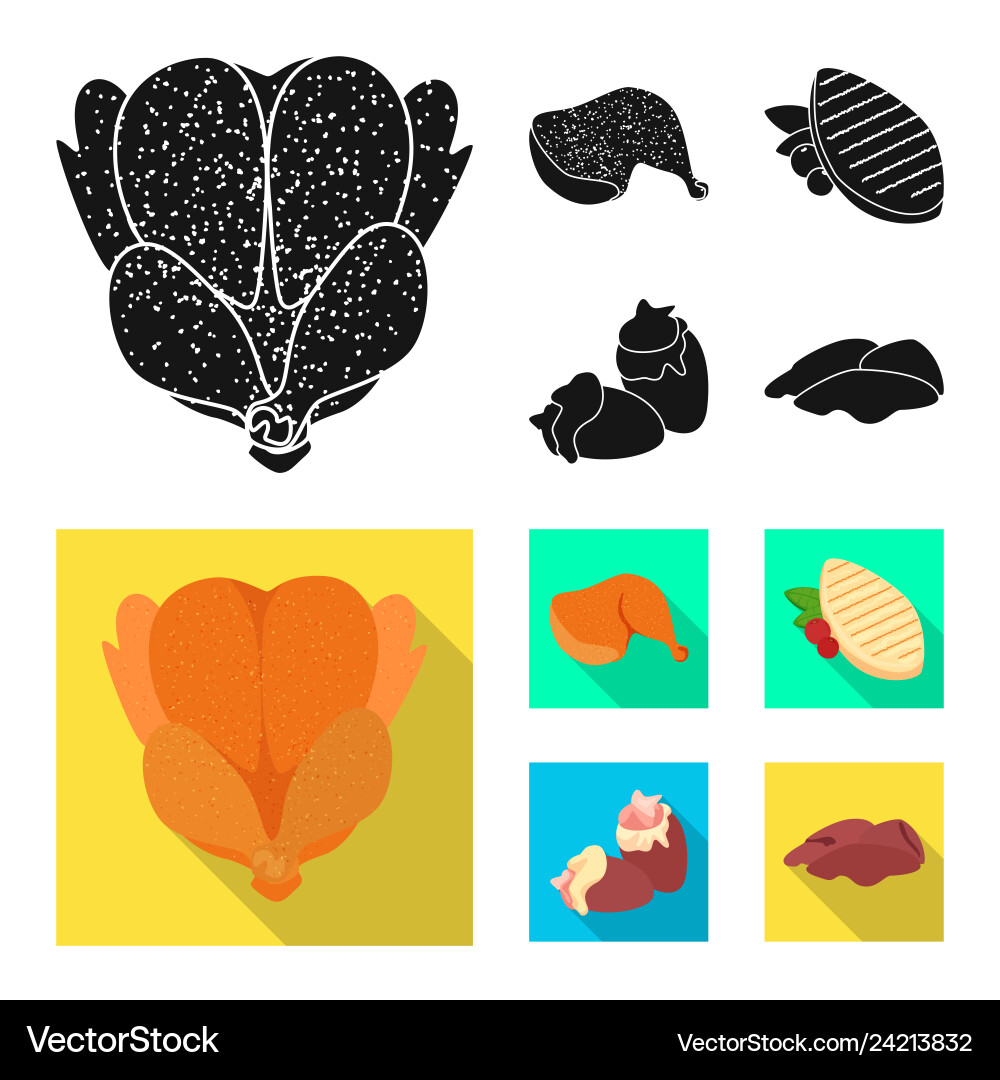 Isolated object of product and poultry symbol vector image