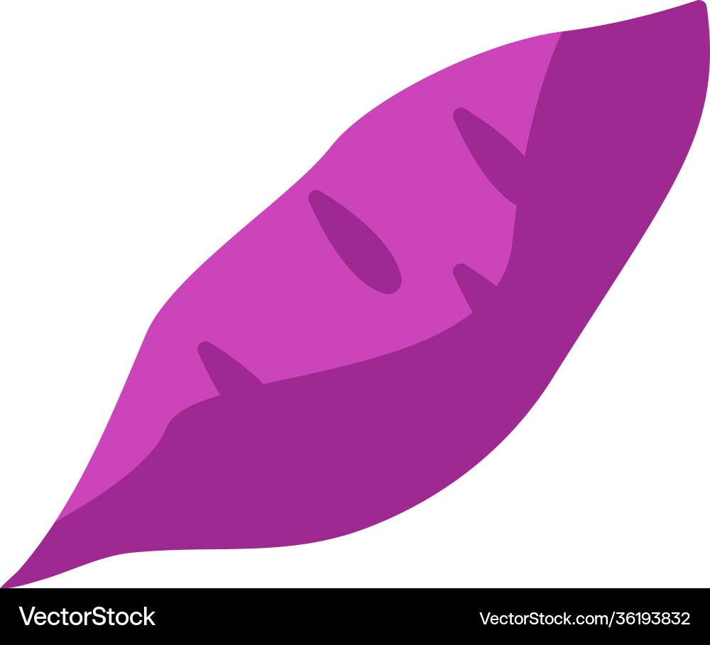 Purple sweet potato icon template isolated Vector Image
