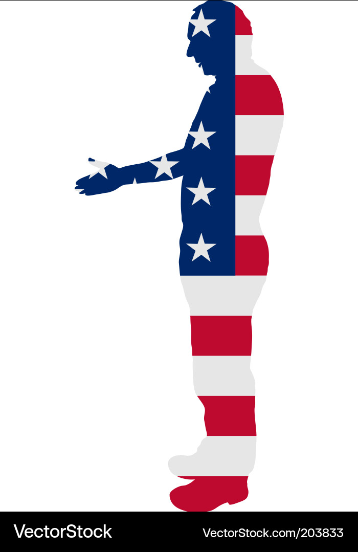 American handshake vector image