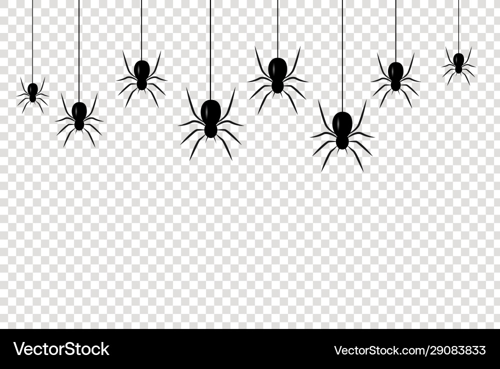 Realistic isolated seamless pattern with hanging Vector Image