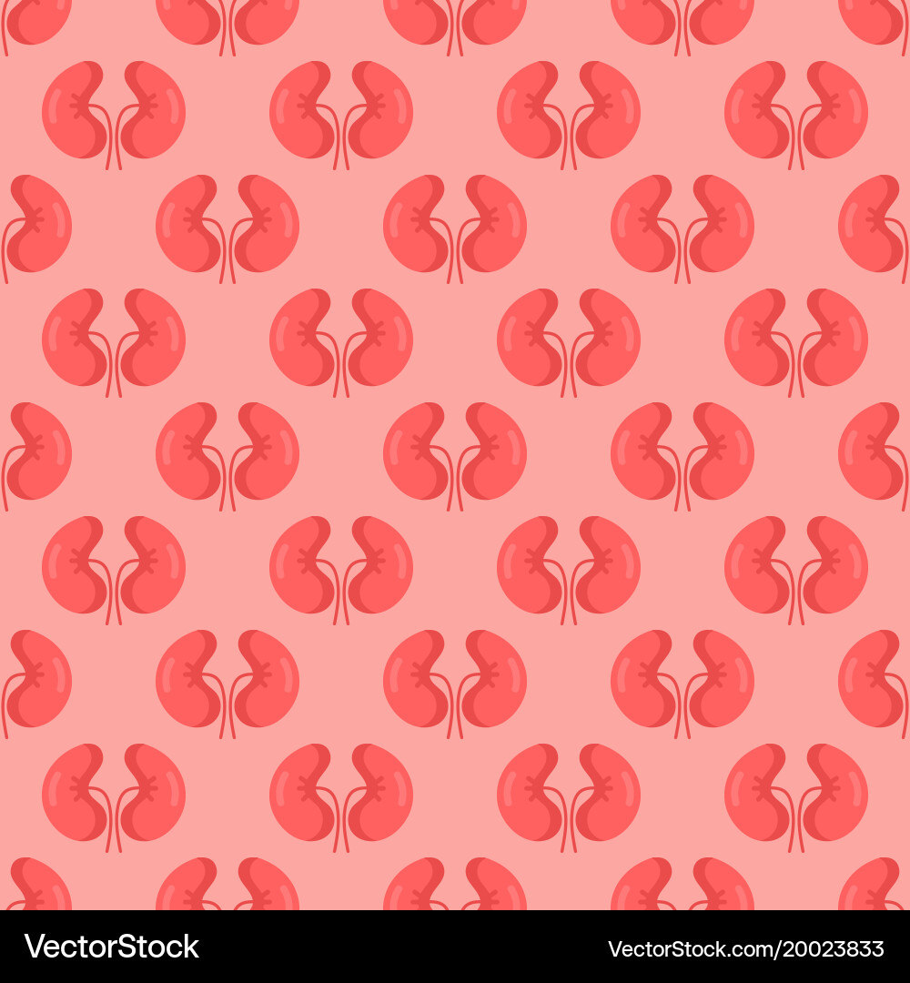 Seamless pattern background with kidneys vector image