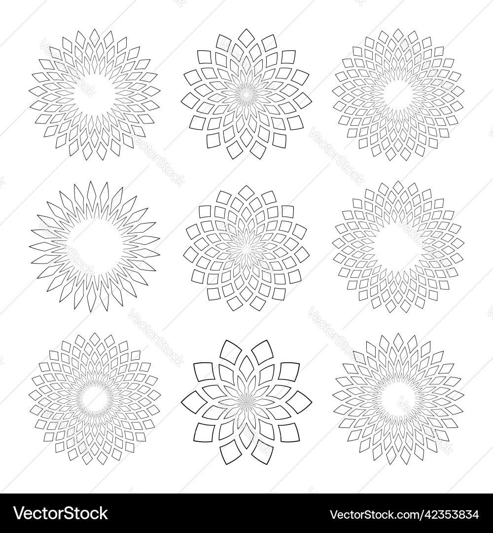 Geometric Circle Patterns vector image