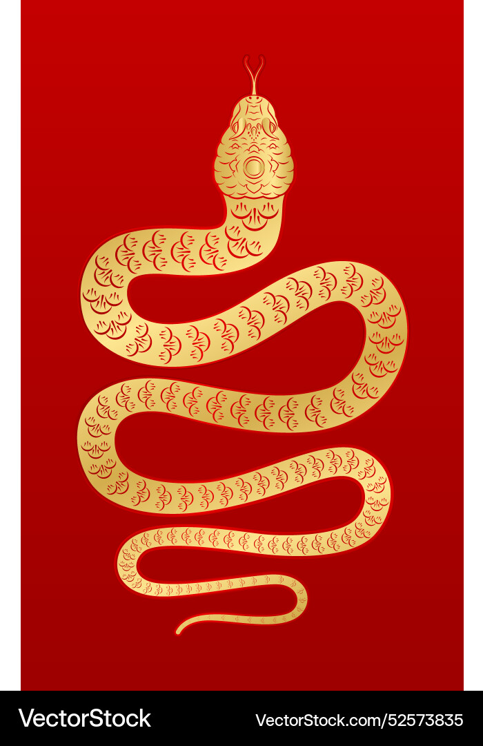 Chinesische Schlange Gold Sternzeichen isoliert Chinesische Schlange Gold Sternzeichen isoliert vektorbild