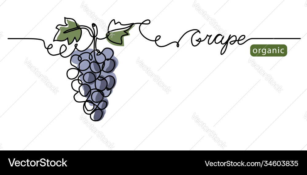 Continuous Grape Bunch vector image