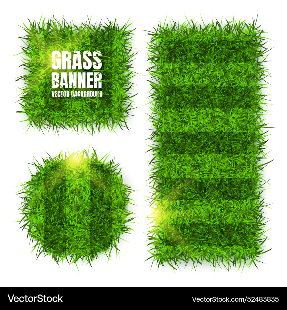 Green grass banners background field meadow Green grass banners background field meadow vector image