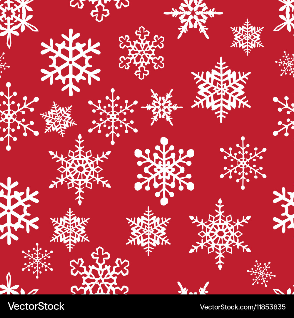 Snowflake Winter Pattern vector image