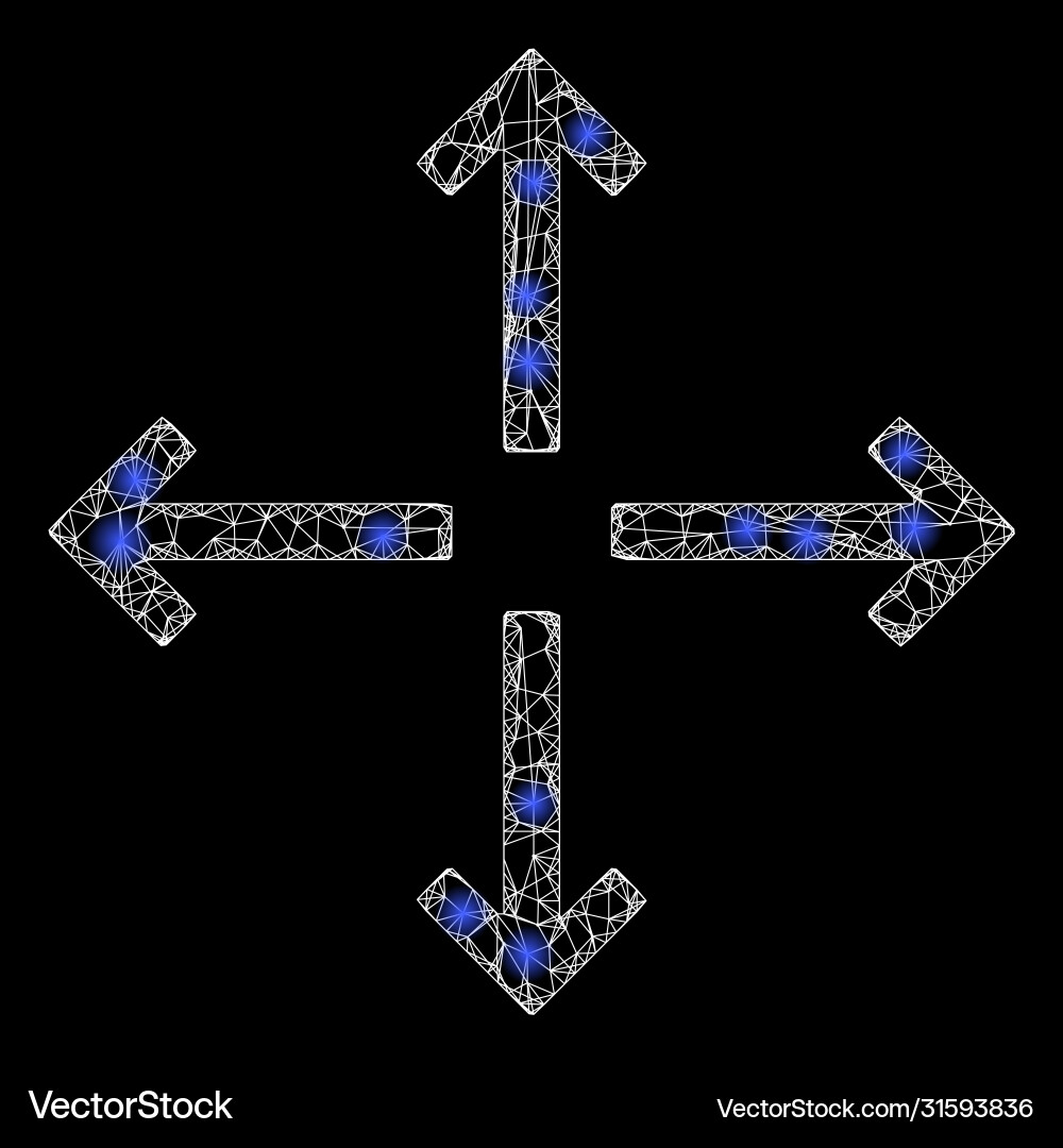 Bright web net expand arrows with glare spots vector image