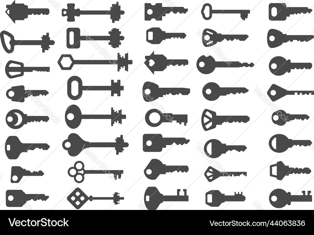 Set of key icons Set of key icons vector image