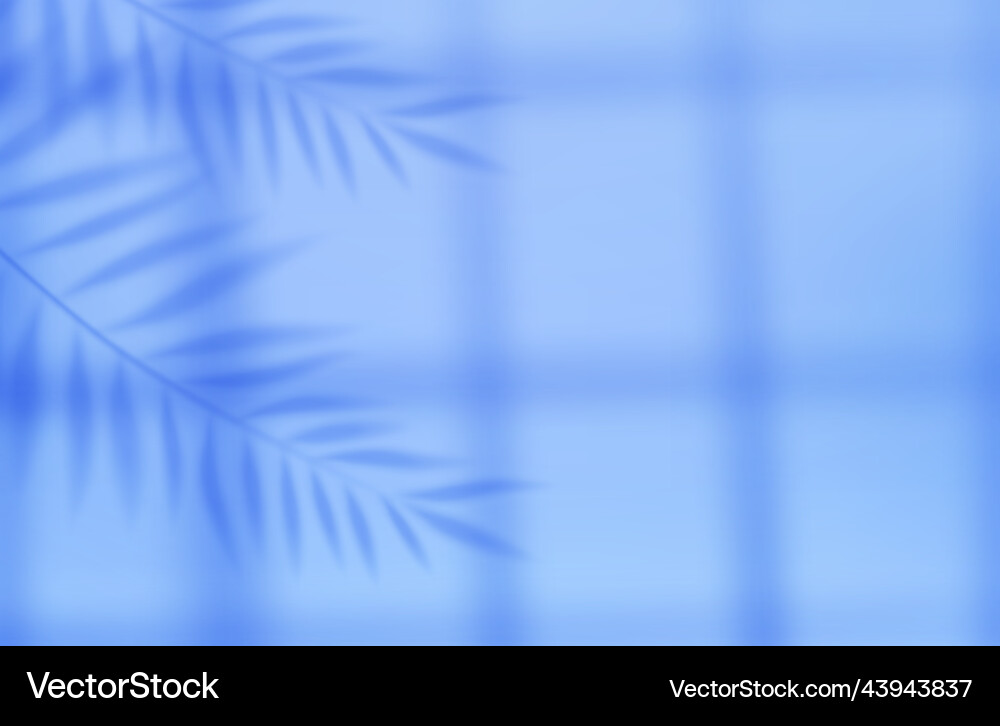 Empty studio abstract background vector image