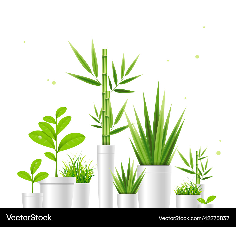 Realistic 3d detailed green house plant pot set vector image