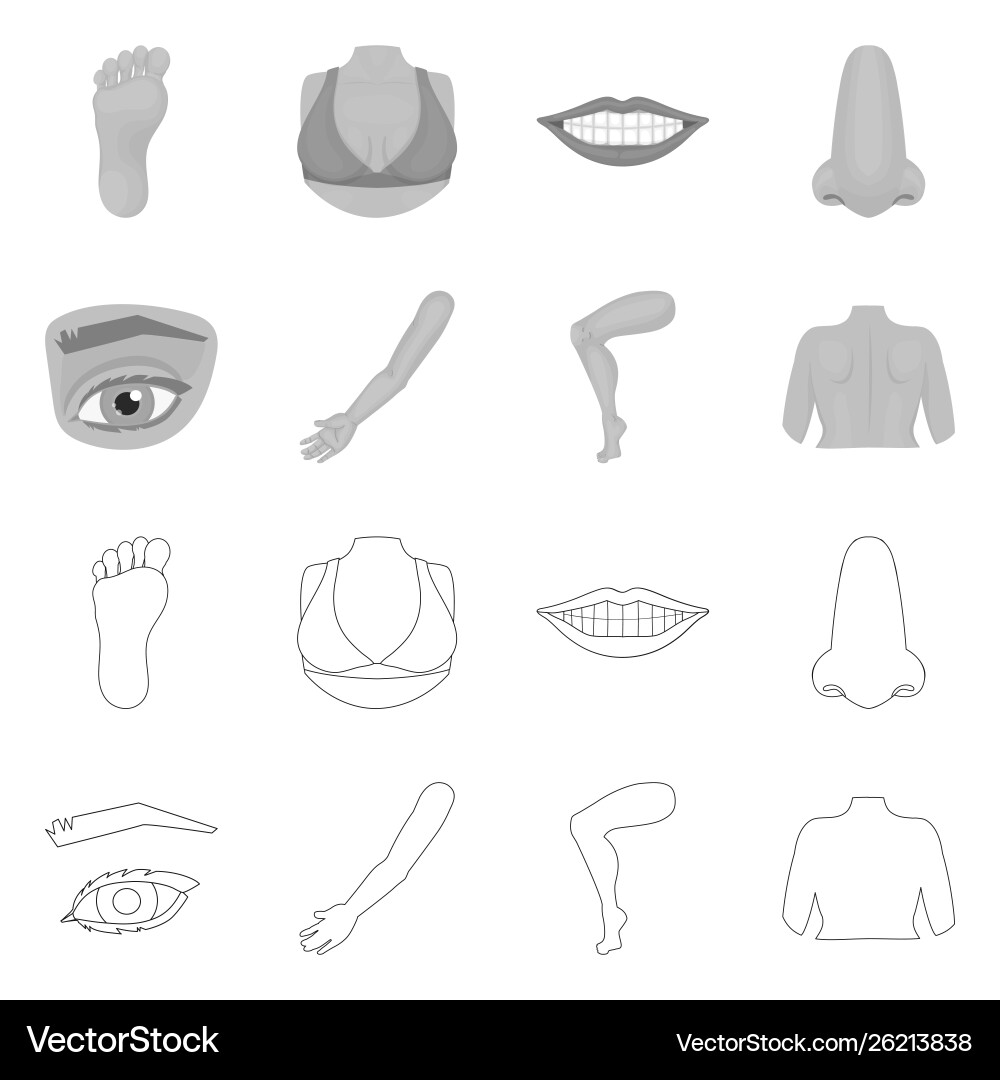 Design body and part icon set Design body and part icon set vector image