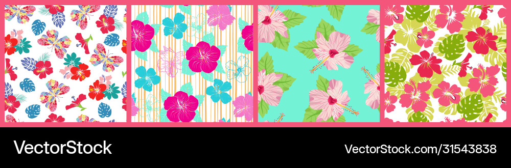Set seamless patterns with exotic hibiscus Set seamless patterns with exotic hibiscus vector image