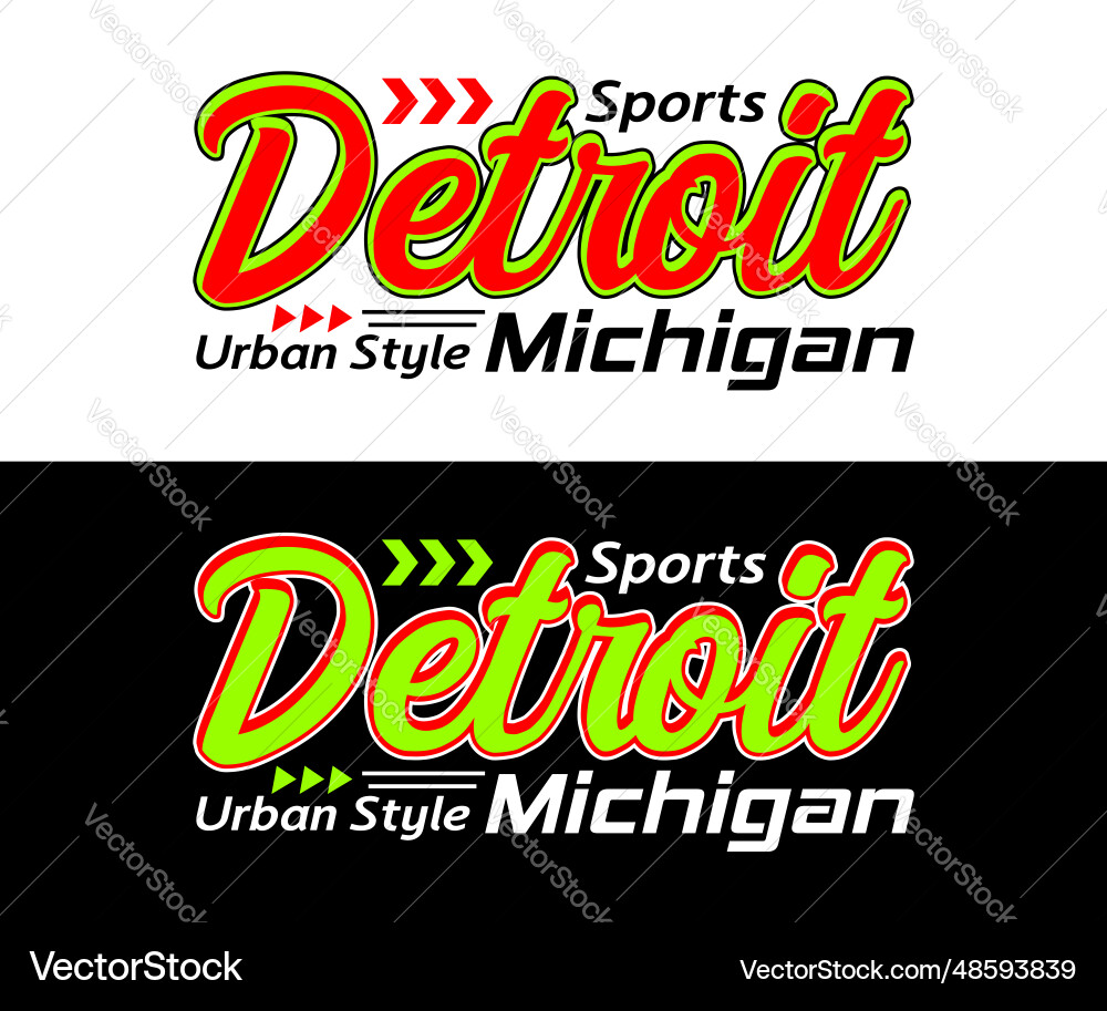 Detroit city vintage sport Detroit city vintage sport vector image