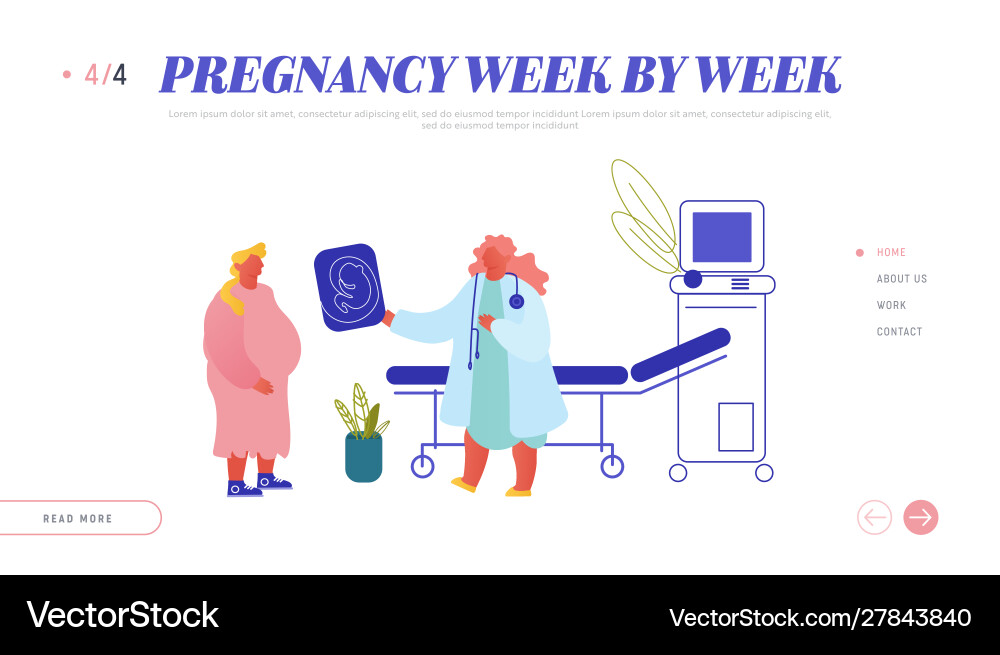 Fertility pregnancy childbirth female health Fertility pregnancy childbirth female health vector image