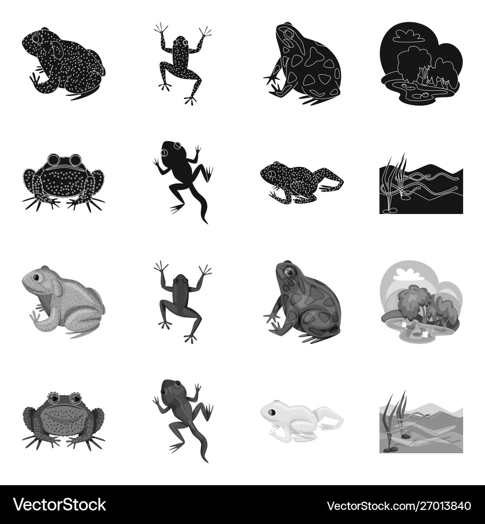 Isolated object wildlife and bog symbol Isolated object wildlife and bog symbol vector image
