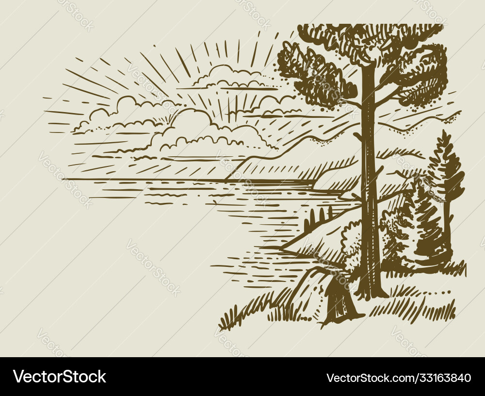 Uneven pine tree stands on ground Uneven pine tree stands on ground vector image