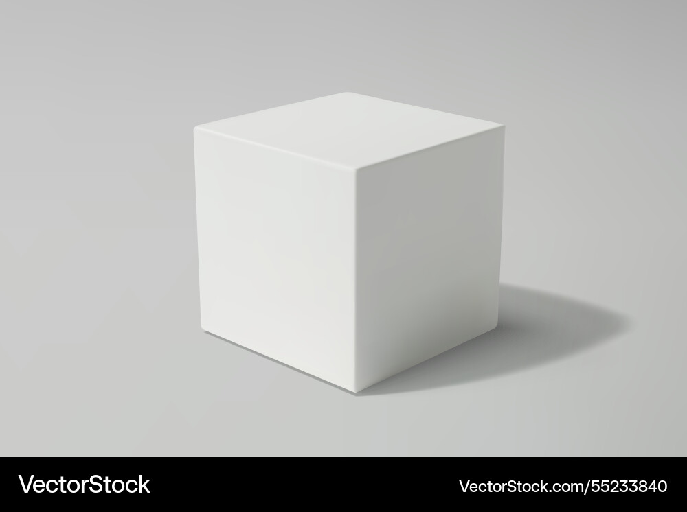 White cube on a gray gradient background vector image