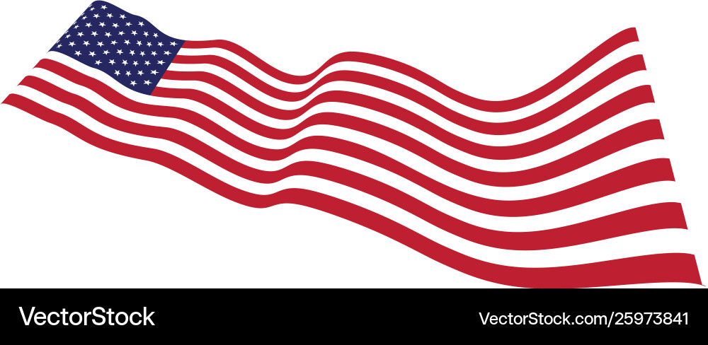 Flag american icon Flag american icon Vector Image