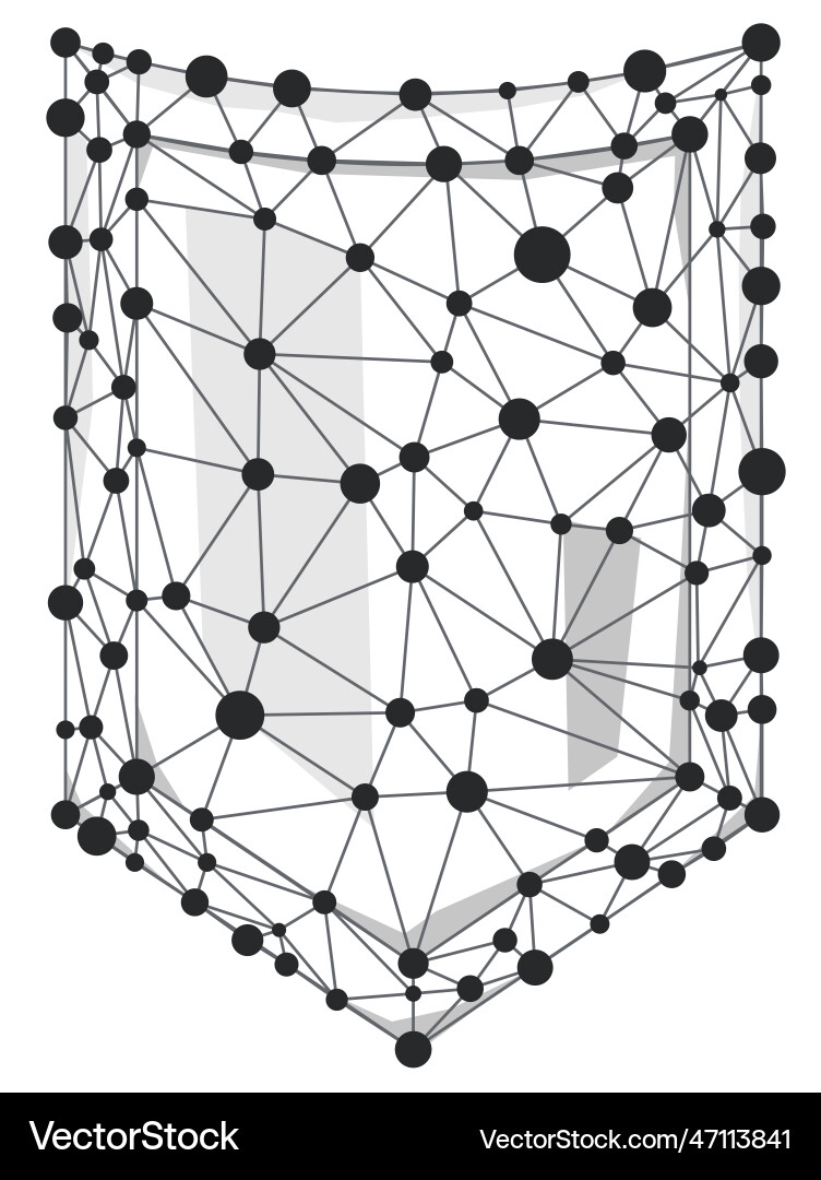 Shield wireframe polygon with line and dots Vector Image