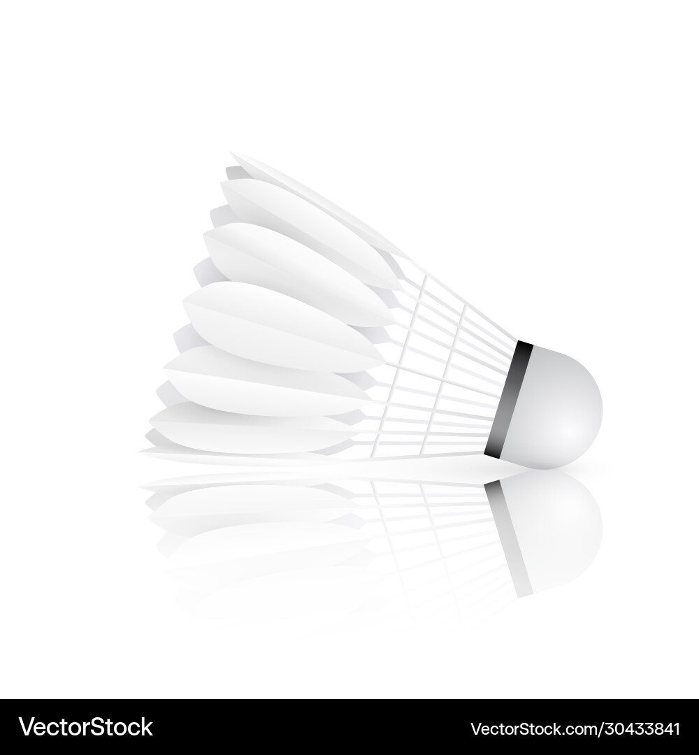 Shuttlecock with reflection isolated on white Shuttlecock with reflection isolated on white Vector Image