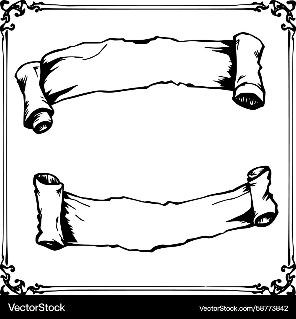 Elegant Scroll Border Vector Image