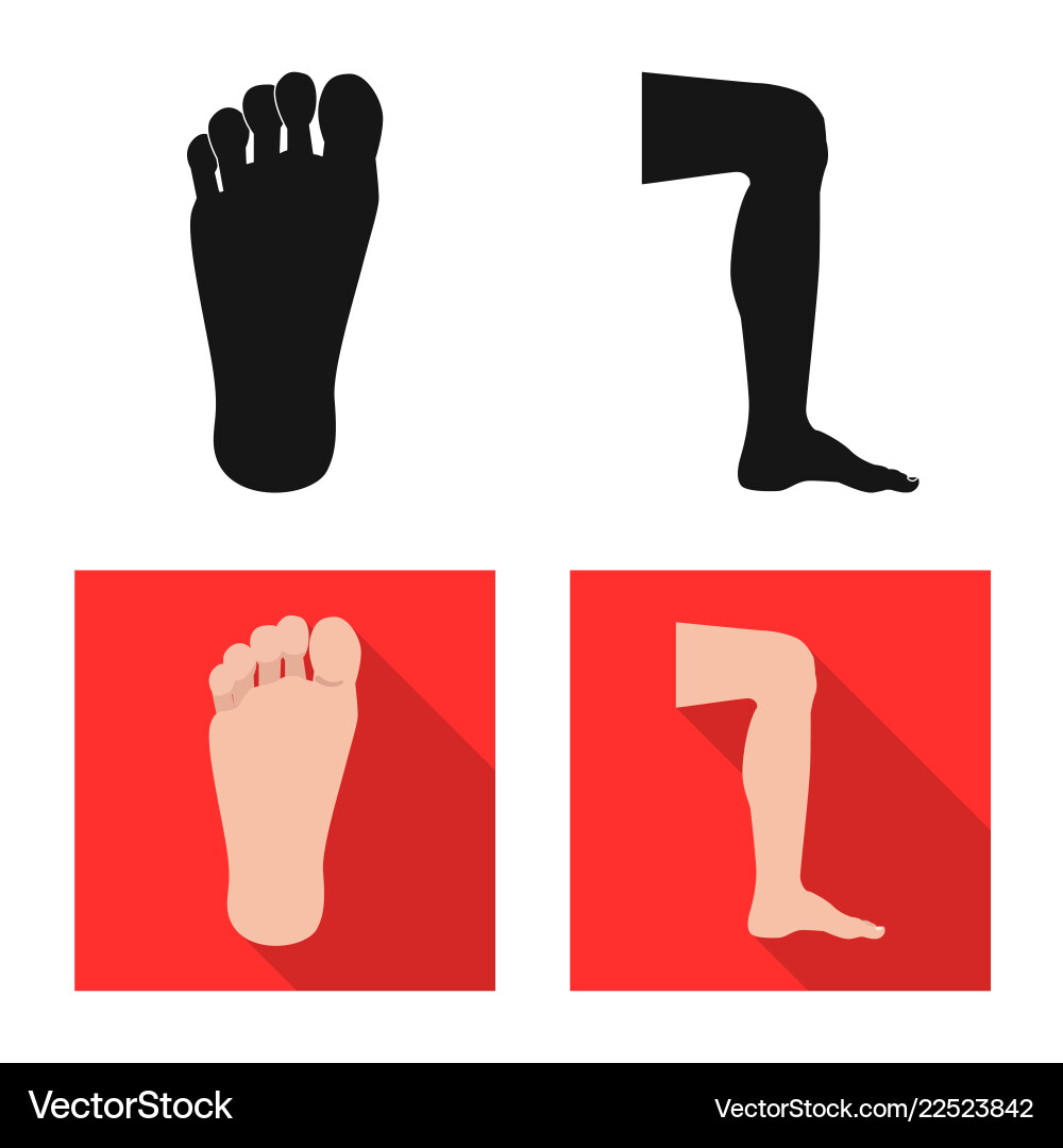 Isolated object of human and part icon collection Vector Image