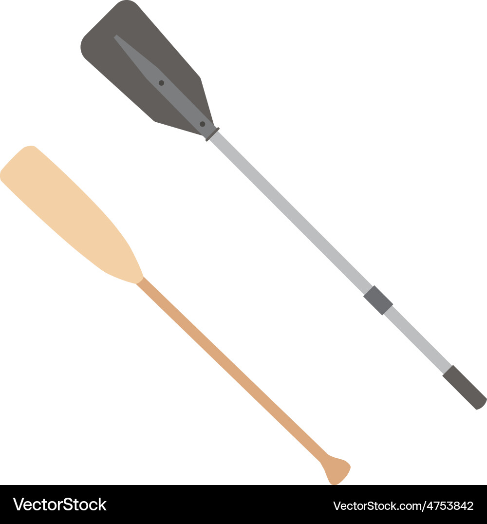 Two oars vector image