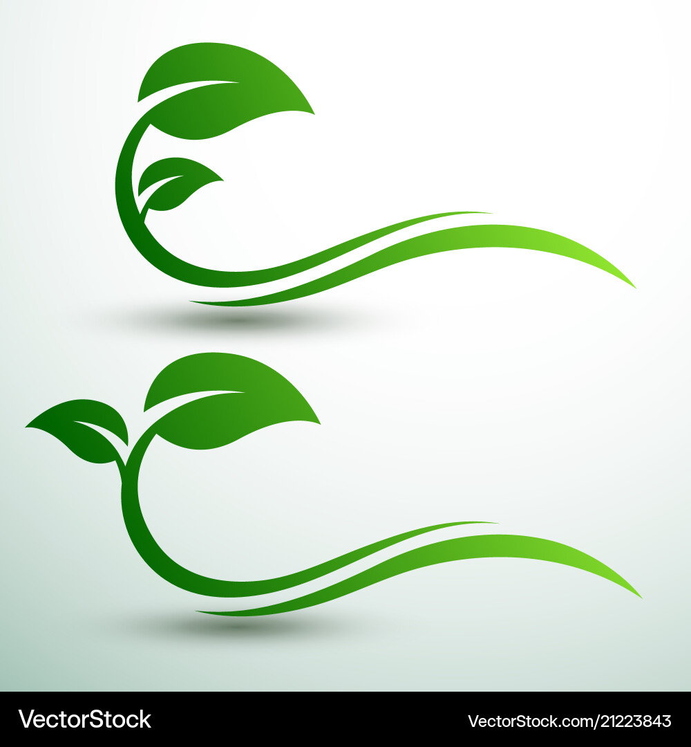 Green Leaf Labels - Nature Concept Vector Image