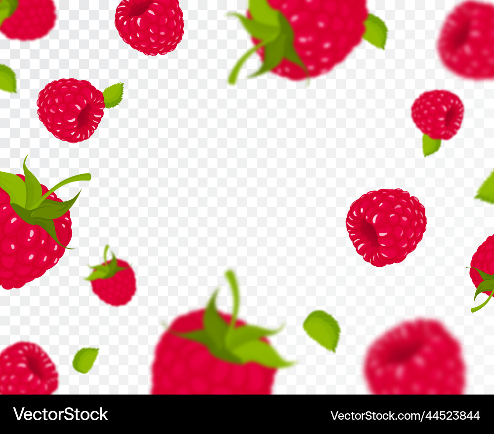 Raspberry background flying with green Raspberry background flying with green vector image