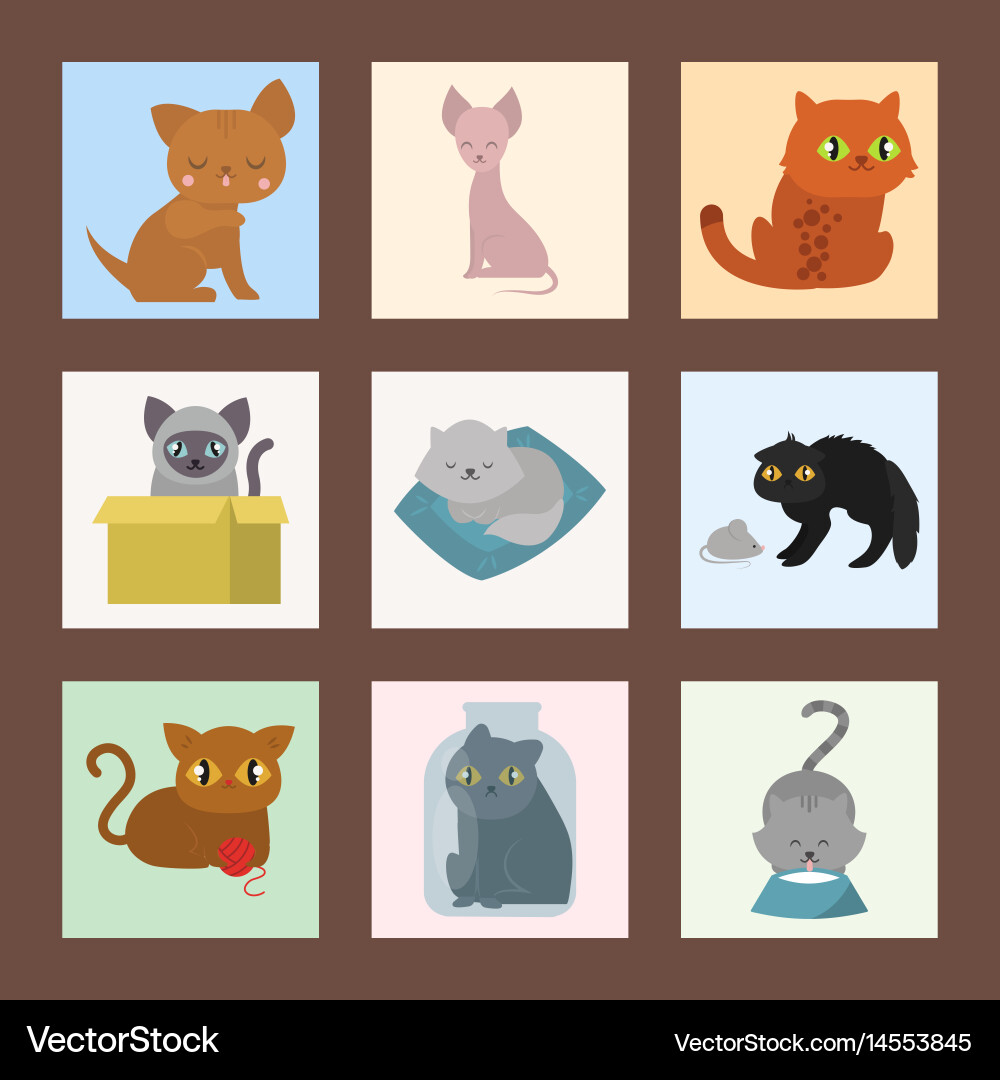 Adorable Kitten Cards Collection Vector Image