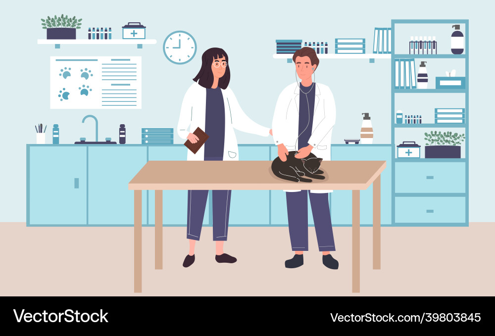 Vet doctor and cat Vet doctor and cat vector image