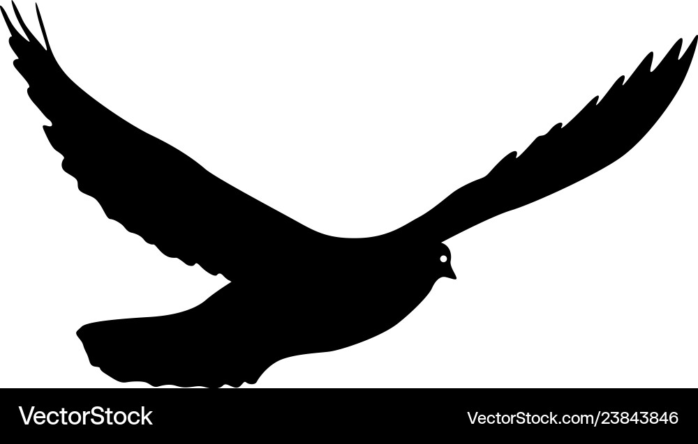 Concept of love or peace silhouettes doves Concept of love or peace silhouettes doves vector image